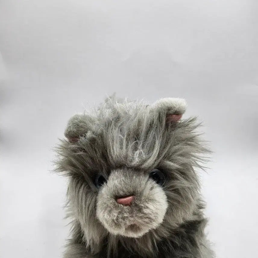 [BUNJANG] Baby Chartreux Cat Plush / 베이비 샤트룩스 고양이 인형