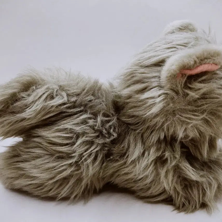 [BUNJANG] Baby Chartreux Cat Plush / 베이비 샤트룩스 고양이 인형