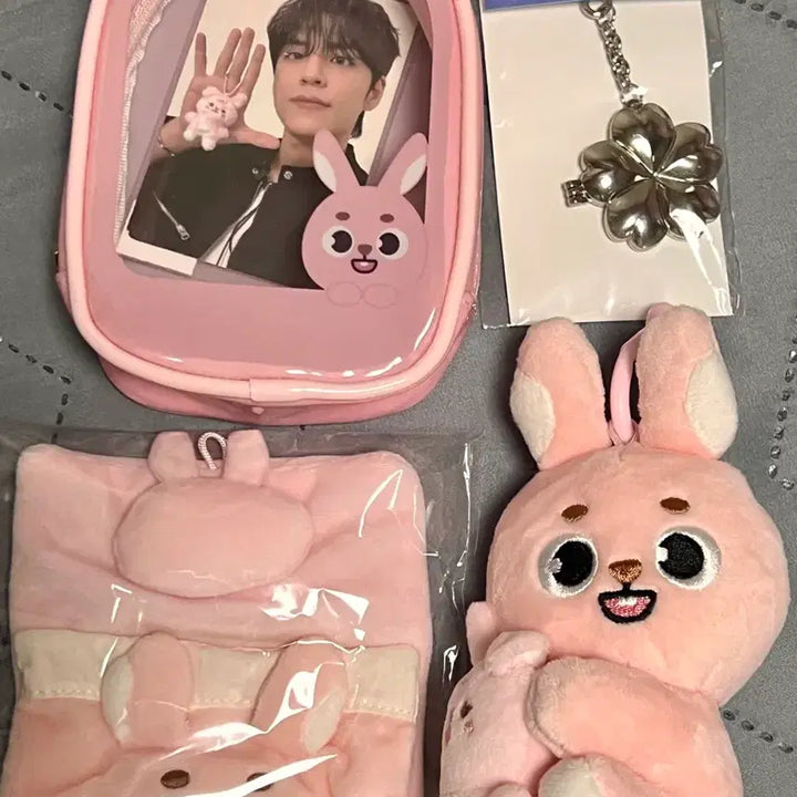[BUNJANG] Day6 Danimals Petitmalls Wonpil Photocard / 데이식스 데니멀즈 쁘띠멀즈 원필 필 판매
