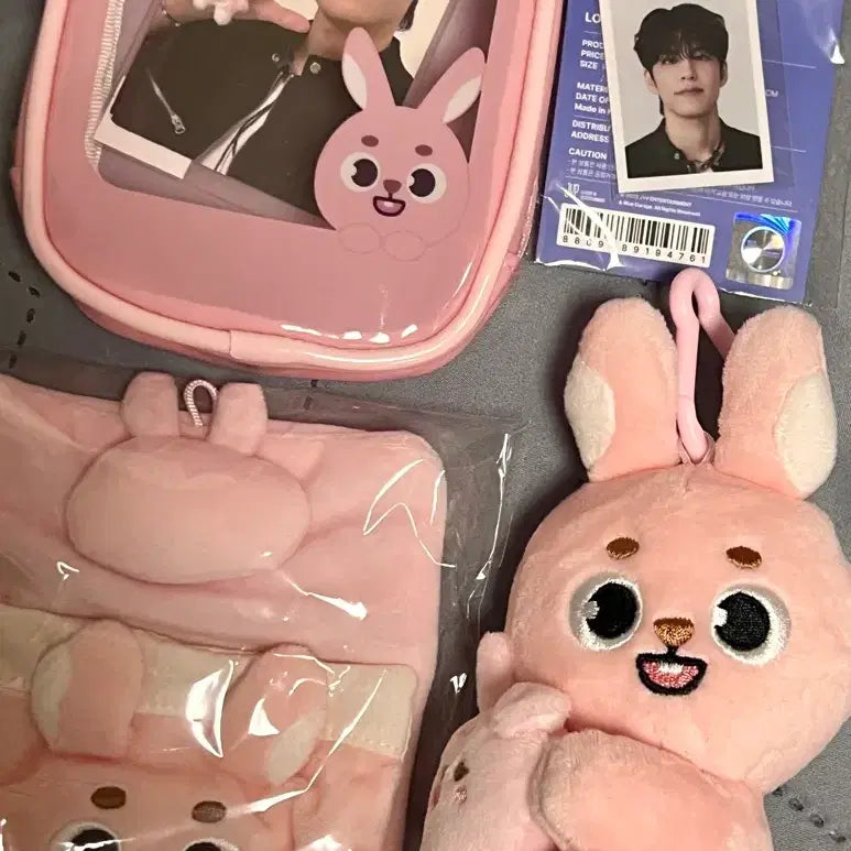 [BUNJANG] Day6 Danimals Petitmalls Wonpil Photocard / 데이식스 데니멀즈 쁘띠멀즈 원필 필 판매