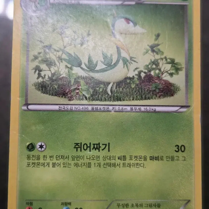 [BUNJANG] Ancient Pokémon Cards / 고대 포켓몬카드