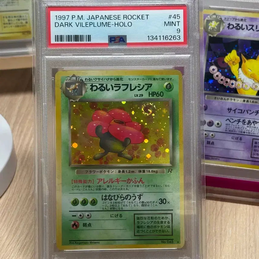 [BUNJANG] 1997 Japanese Rocket Team Series Bad Basculin - Mint Condition / 일판 1997로켓단시리즈 라플레시아 포켓몬카드