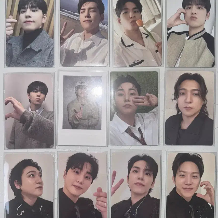 [BUNJANG] Day6 Sungjin Jae Young K Wonpil Dowoon Photocard Bundle Set / 무료배송 일괄 데이식스 성진영케이원필도운 포카