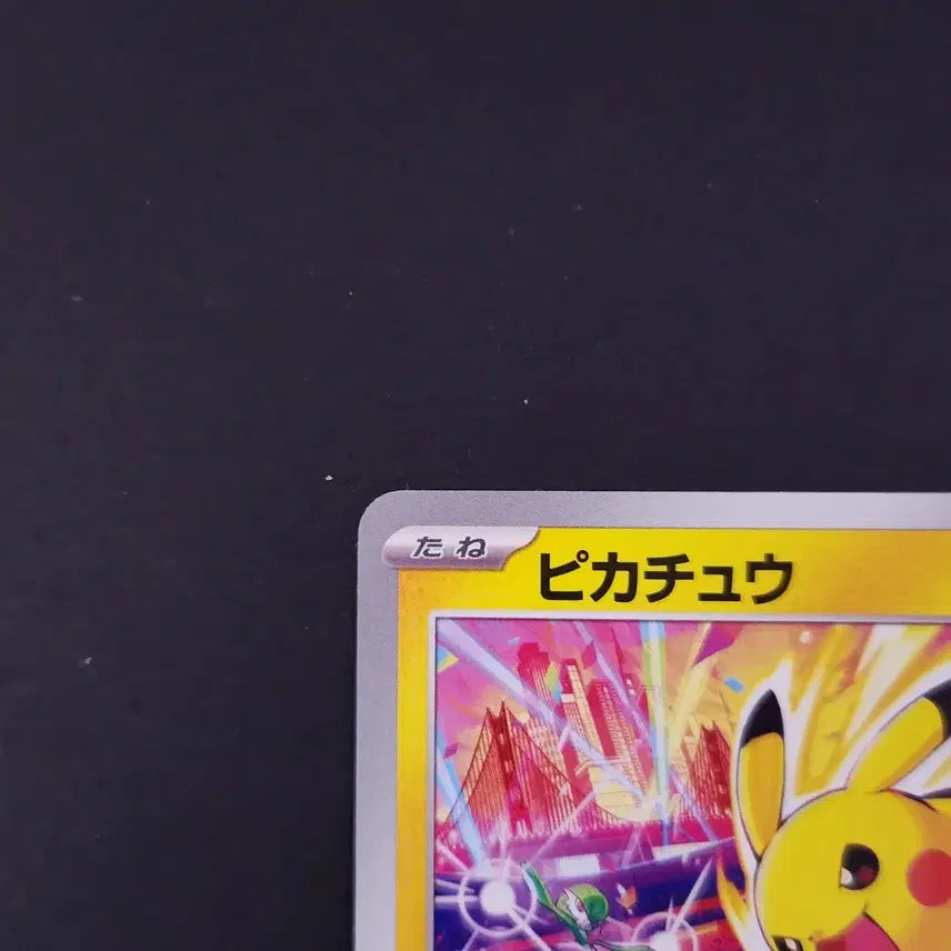 [BUNJANG] Pikachu PROMO World Championships 2025 Logo Pokemon Card (Japanese) / 일본판 피카츄 PROMO 월드챔피언십 2025 로고 프로모 포켓몬카드