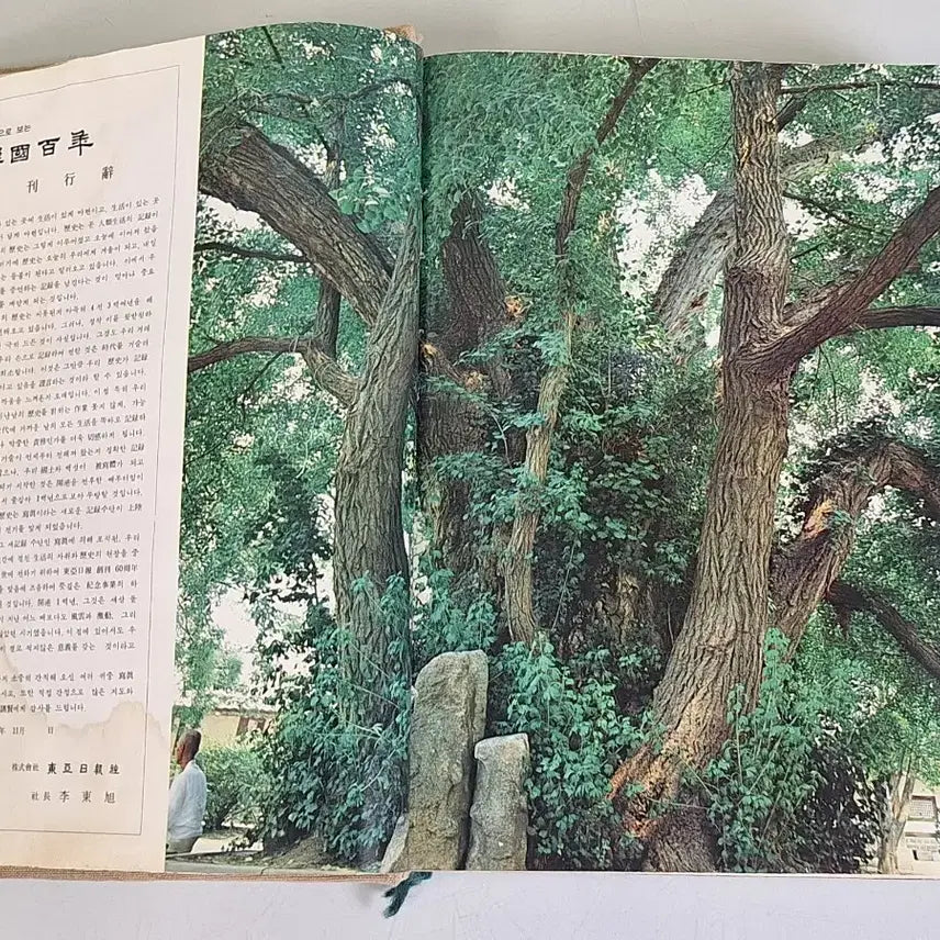 [BUNJANG] Dong-A Ilbo "A Hundred Years of Korea" Photo Album (1978 Edition) / 근대사 수집 자료 옛날 한국백년 사진 화보집 동아일보 78년