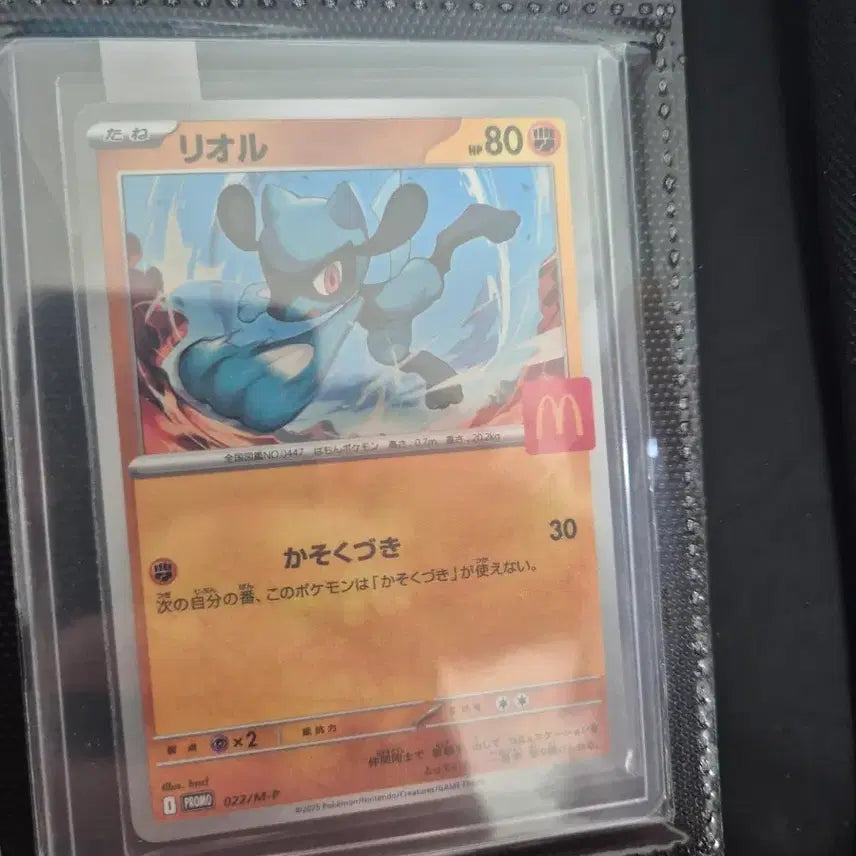 [BUNJANG] Pokemon Card Lior McDonald&