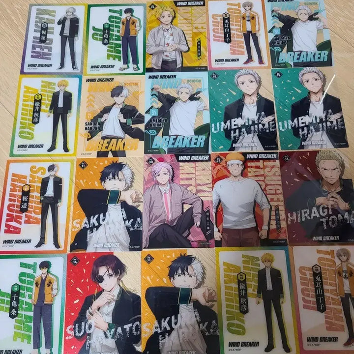 [BUNJANG] Wind Breaker Bundle Set Photocard, Acrylic, Plush / 윈브레 윈드브레이커 카드,아크릴,인형