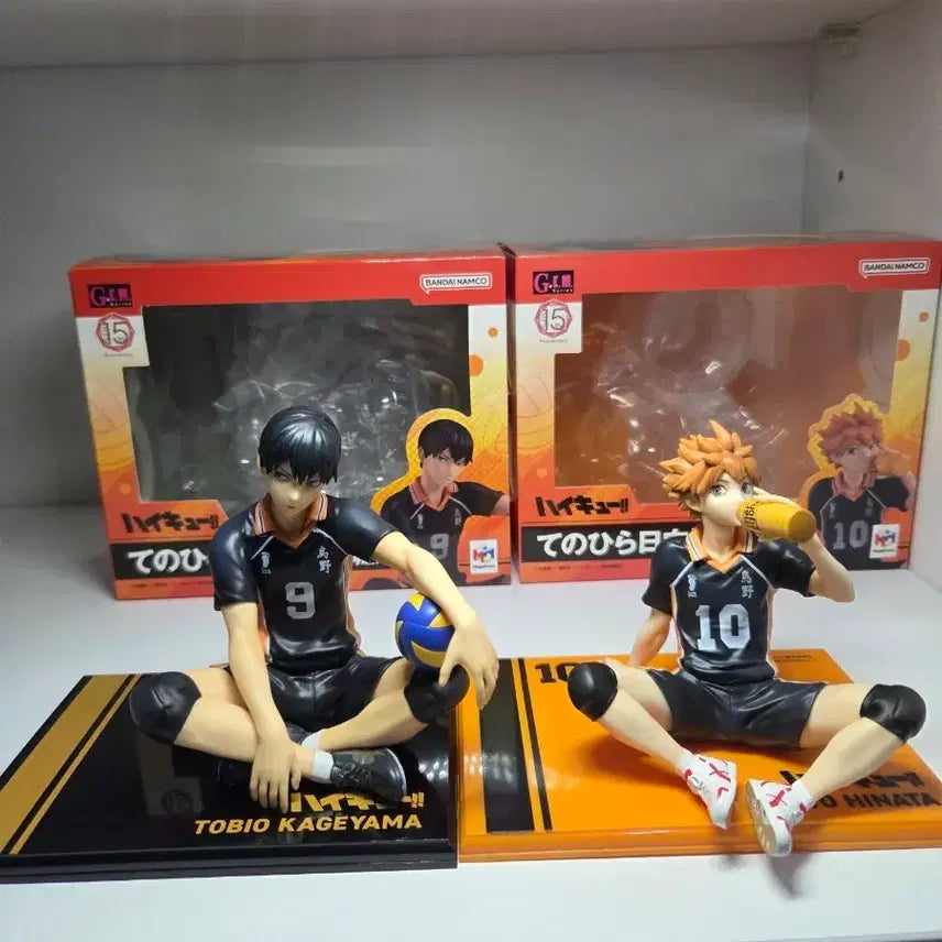 [BUNJANG] Haikyuu!! GEM Tenohira Kageyama Hinata Bundle Set / 하이큐 GEM 테노히라 카게야마 히나타 일괄판매