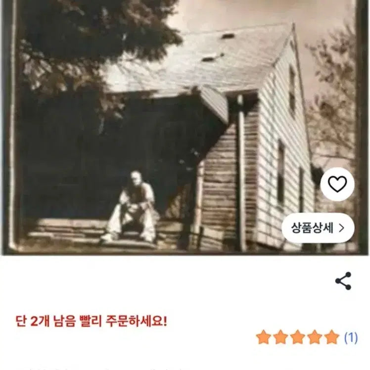 [BUNJANG] Eminem The Slim Shady LP Vinyl / 에미넴 3집 lp