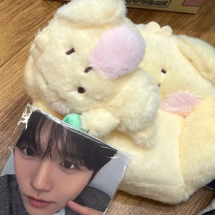 [BUNJANG] Dangt Nini Room Plush Set + Scarf Bundle / (일괄 안전결제)댕트니니 룸플러시 세트+스카프