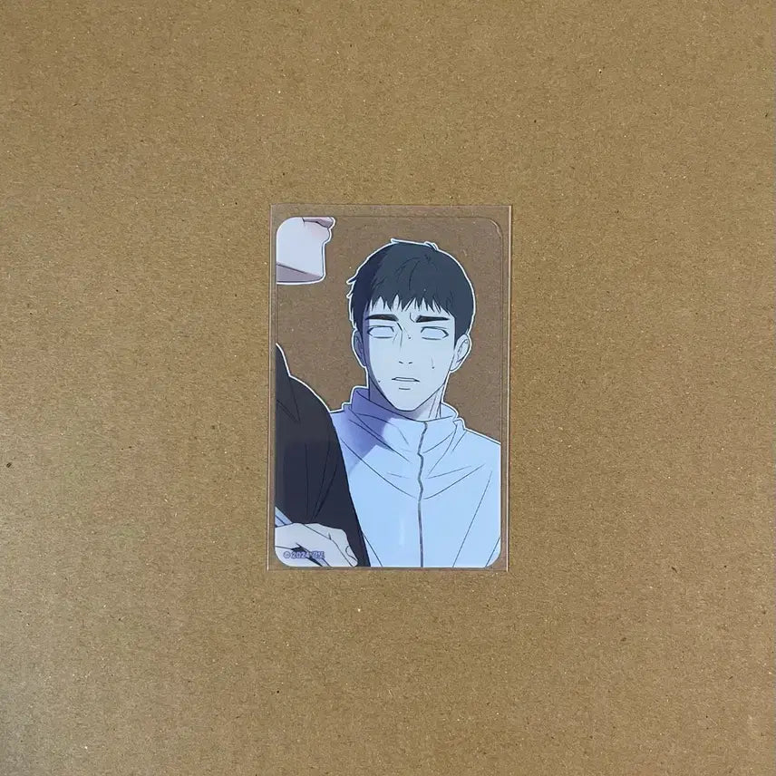 [BUNJANG] Team Rejin Backlight Transparent Photocard / 팀레진 백라이트 특전 투명 포토카드
