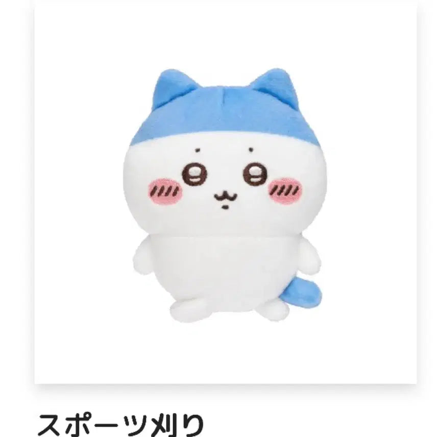 [BUNJANG] Hachiware Scattered Kuiji E Prize Sports Hairstyle Badge Plush / 하치와레 투성이 쿠지 E상 스포츠 머리 배지 인형