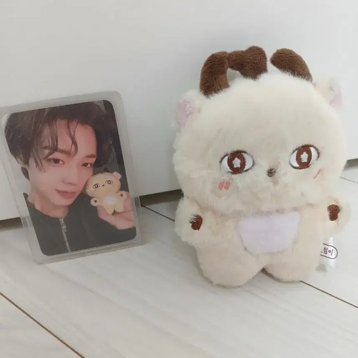 [BUNJANG] Park Jihoon Sosimi Doll / 박지훈 소심이 인형