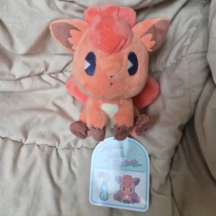 [BUNJANG] Pokemon Psycho Soda Refresh Plush - Pikachu, Raichu, Mew, Bulbasaur, Psyduck, Squirtle, Plusle, Minun, Piplup, Jirachi, Marill, Larvitar, Togepi / 식스테일 판매) 포켓몬 사이코 소다 미네랄 사이다 리프레쉬 인형 부산 팝업 피츄 라이츄 뮤 이상해씨 고라파덕 꼬부기 플러시 마이농 팽도리 지라치 마릴 애버라스 토게피 먹고자 알