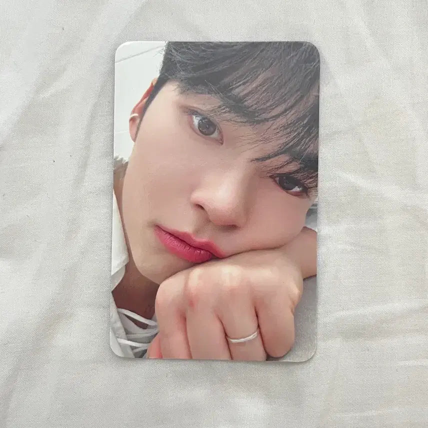 [BUNJANG] ZEROBASEONE Sung Hanbin First Fanmeeting Photocard / 제로베이스원 제베원 성한빈 첫 팬미팅 포카