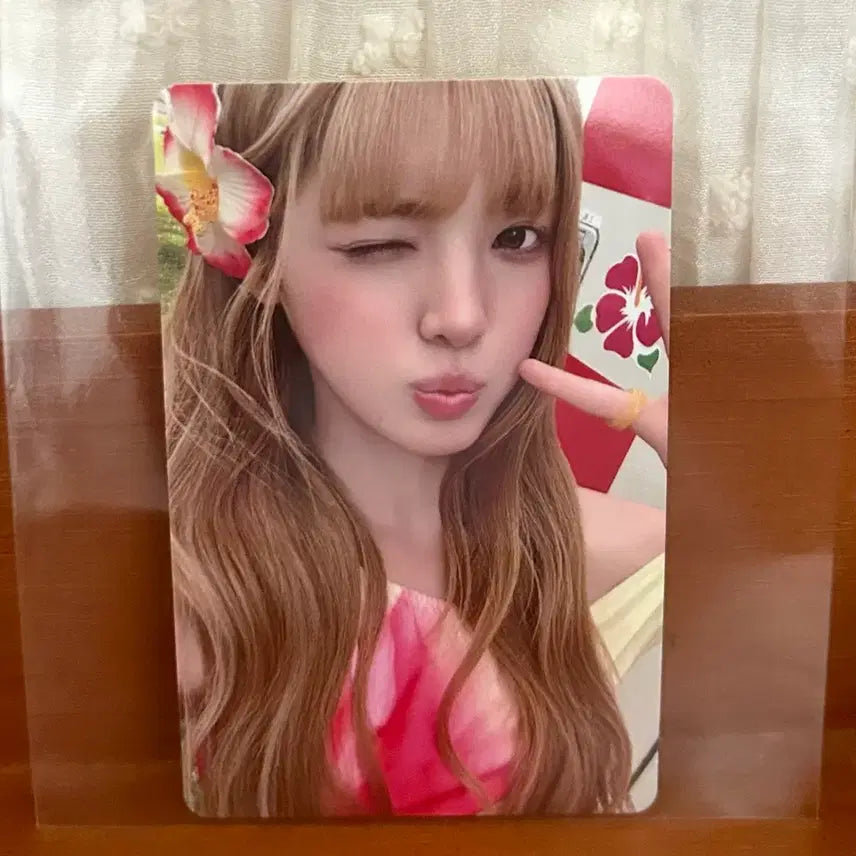 [BUNJANG] HaToHats Lemon Tang YUHA HMV Japan Lucky Draw Photocard / 하츠투하츠 레몬탱 유하 hmv 재팬 럭드 포카 양도 럭키드로우