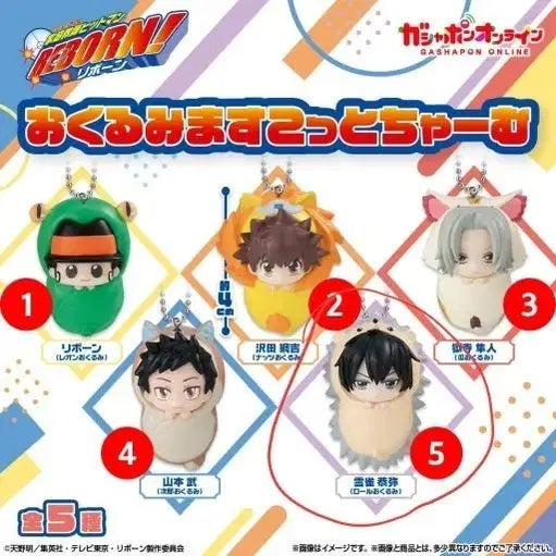 [BUNJANG] Katekyo Hitman Reborn! Hibari Cloud Carrier / 가정교사히트맨리본 히바리 포대기