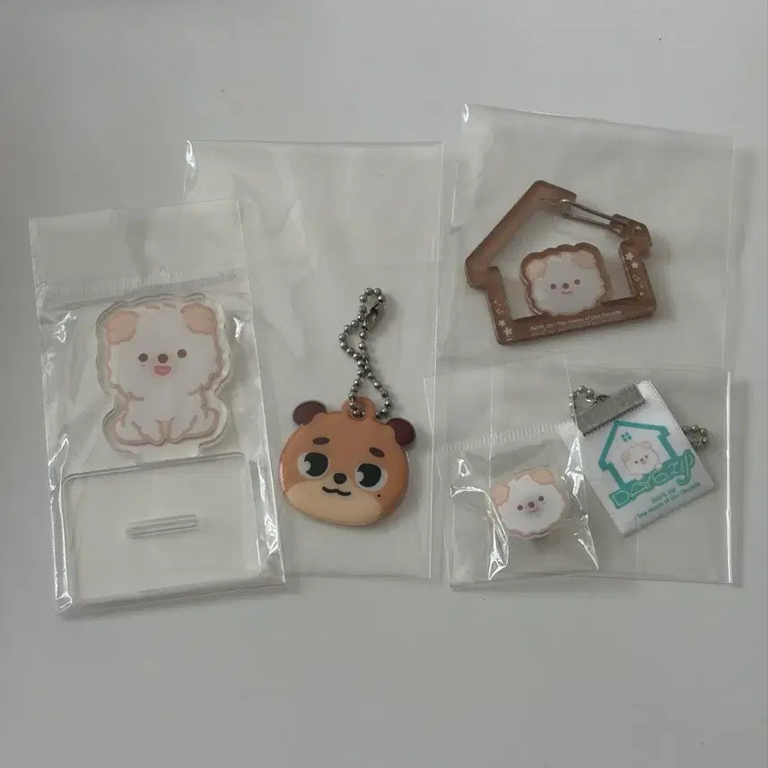 [BUNJANG] DAY6 Pop-up Gacha Carabiner, Keyring, and More Bundle Set / 데이식스 팝업 가챠 돈 카라비너, 키링 등