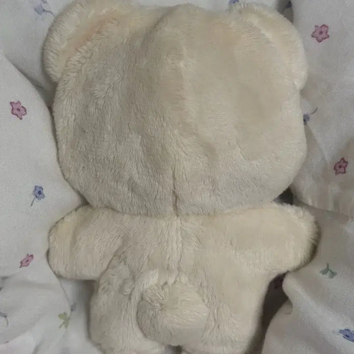 [BUNJANG] Ibara Bear Plush Doll / 이바라 곰누이