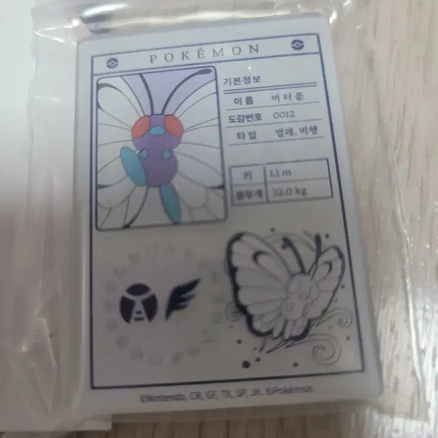 [BUNJANG] Pokemon Butterfree Magnet / 포켓몬스터 버터플 마그넷