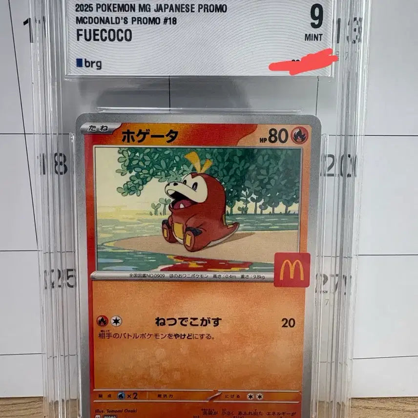 [BUNJANG] Pokemon TCG Scraggy McDonald&