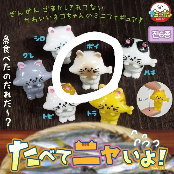 [BUNJANG] AmuFun Cat "Didn&
