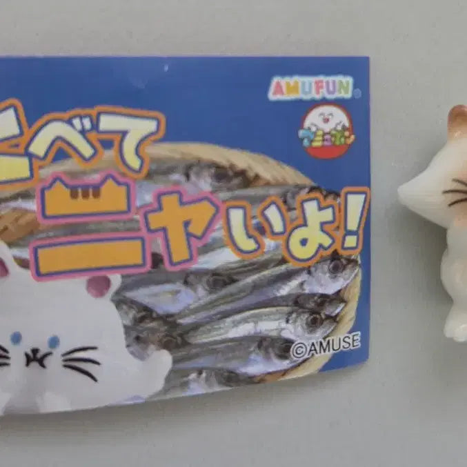 [BUNJANG] AmuFun Cat "Didn&