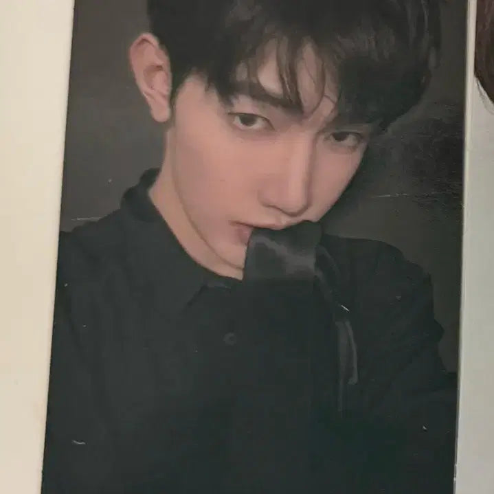 [BUNJANG] ZEROBASEONE Zhang Hao M2U M2U Records Photocard / 앤더블 장하오 물었타이 포카 엠투유 엠투유레코드