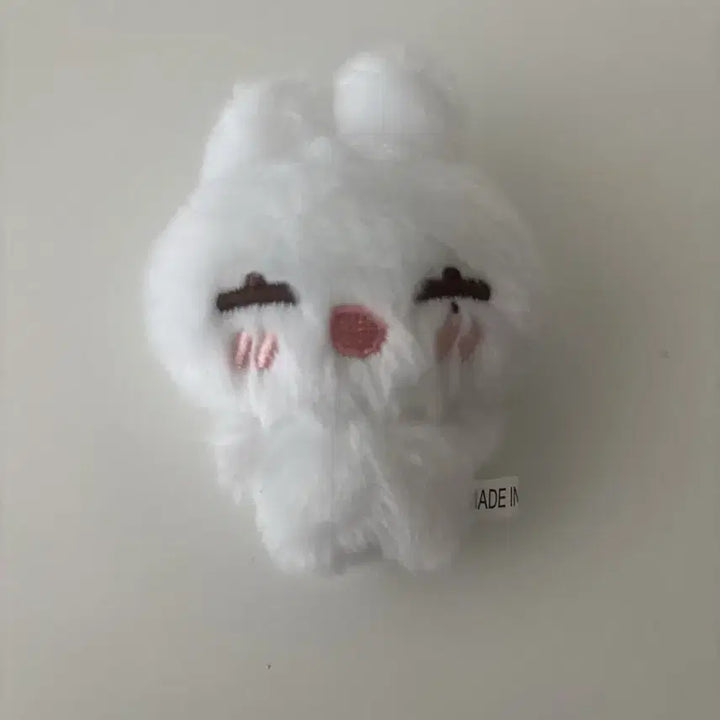 [BUNJANG] Enhypen Sunoo Happy Ddeon Doll Sealed / 엔하이픈 선우 인형 해피떤 새상품