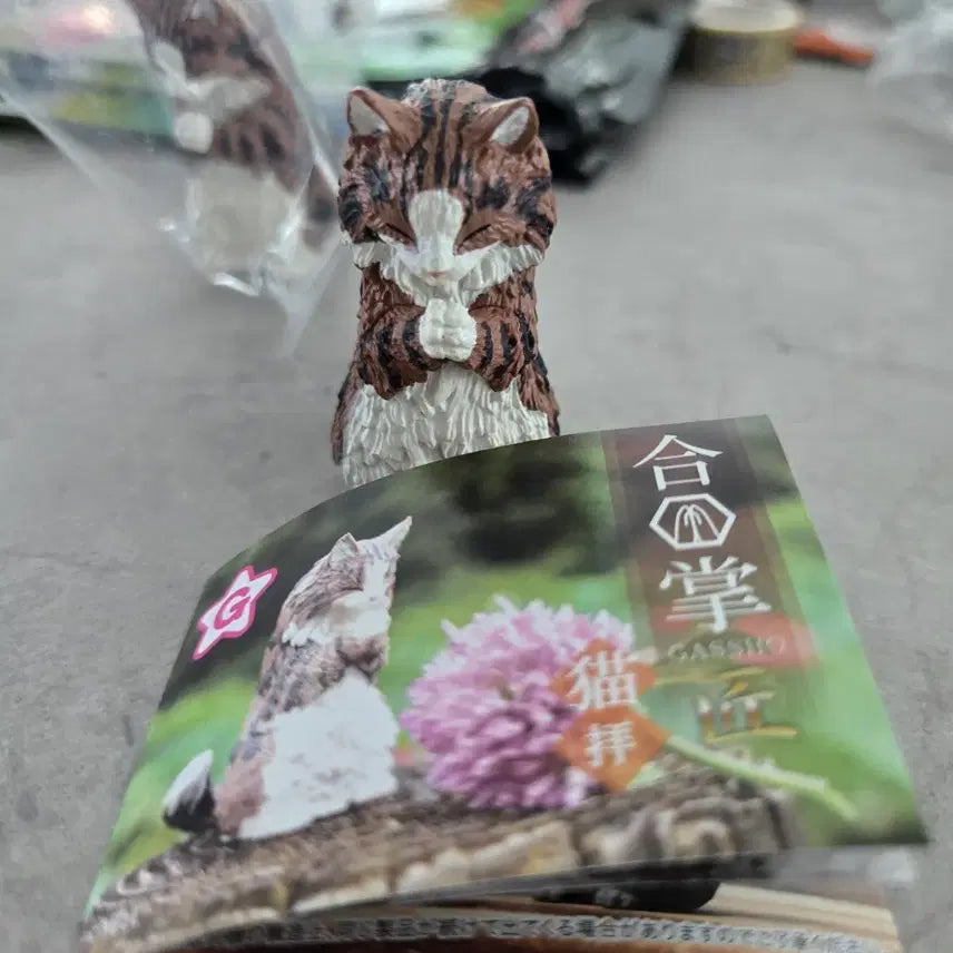 [BUNJANG] Norwegian Forest Cat Gacha Figure / 노르웨이숲 고양이 가챠