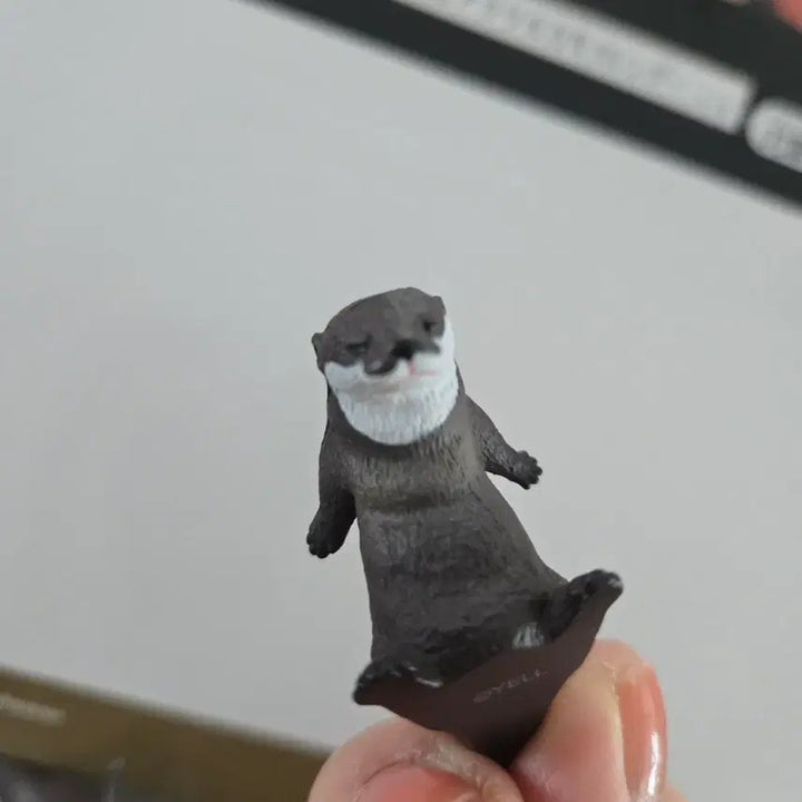 [BUNJANG] Otter Gacha Figure / 수달 가챠