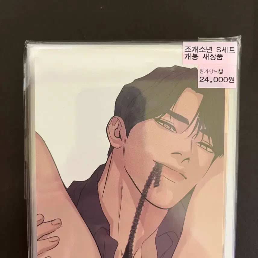 [BUNJANG] MOFUN Jogaeboys Dushik Juba S Set Postcard / 모펀 조개소년 두식 주하 s세트 엽서 굿즈 희귀매물