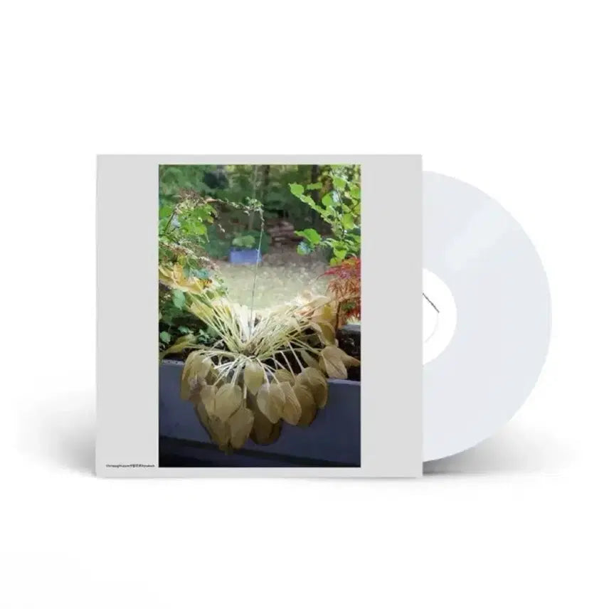 [BUNJANG] Hyukoh Love, Love LP (Sealed) / 혁오-사랑으로 lp(미개봉)