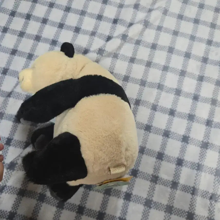 [BUNJANG] Bao Family Pusawon Doll / 바오패밀리 푸사원 인형 판매합니다 급처