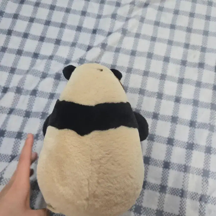 [BUNJANG] Bao Family Pusawon Doll / 바오패밀리 푸사원 인형 판매합니다 급처