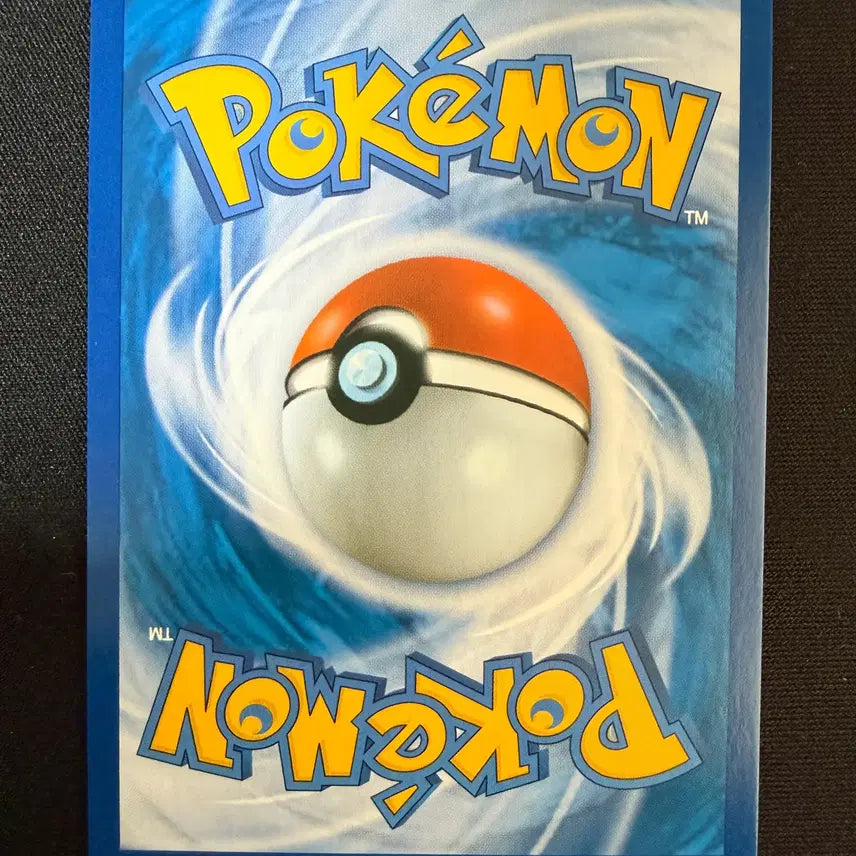 [BUNJANG] Pokemon Card Salamence GX HR Card SM6b 