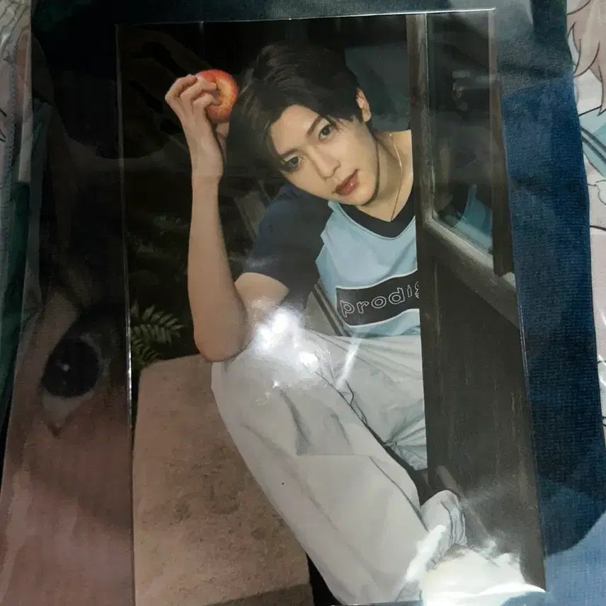 [BUNJANG] NCT WISH Our Summer Wish Fabric Poster Siyong / 위시 아워썸머위시 패브릭 포스터 시온