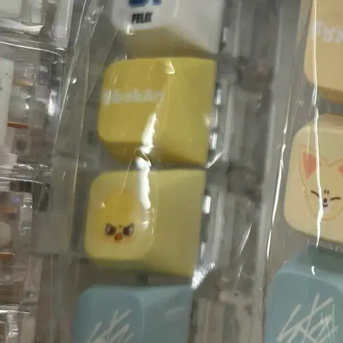 [BUNJANG] Stray Kids Karma Keycap Keyring (Sealed) / 원가이하 미개봉 카르마 키캡 키링 뽁아리 스키즈 스키주
