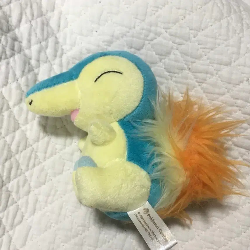 [BUNJANG] Pokemon Canvas Plush Charmander / 포켓몬 캔버스 인형 브케인