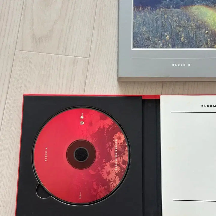 [BUNJANG] Block B Mini Album Blooming Period B-Bomb Photocard / [블락비] 미니 앨범 Blooming Period / 비범 포카