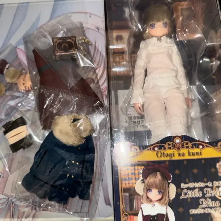 [SOLD OUT] 아존돌 니나 아존