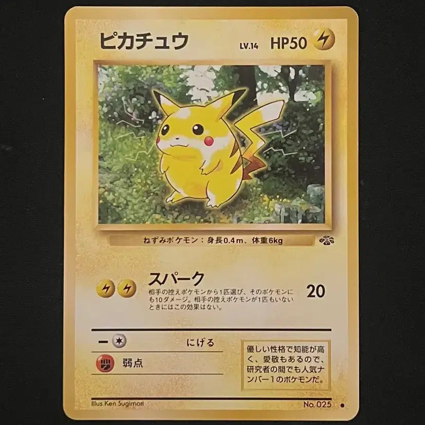 [BUNJANG] Pokemon Card Vintage Old Back Pikachu 