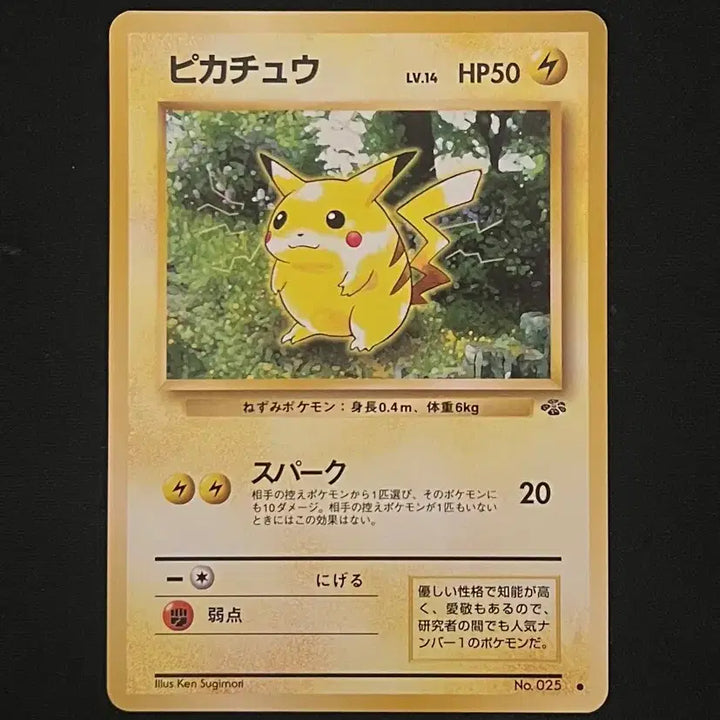 [BUNJANG] Pokemon Card Vintage Old Back Pikachu 