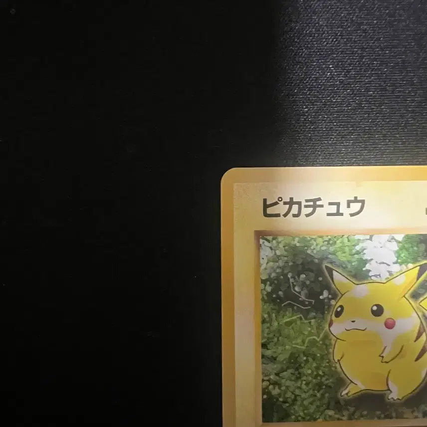 [BUNJANG] Pokemon Card Vintage Old Back Pikachu 