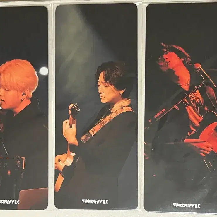 [BUNJANG] Thornapple 2024 Live Film Lucky Draw Photocard Bundle Set / 쏜애플 불구경2024 라이브필름 특전