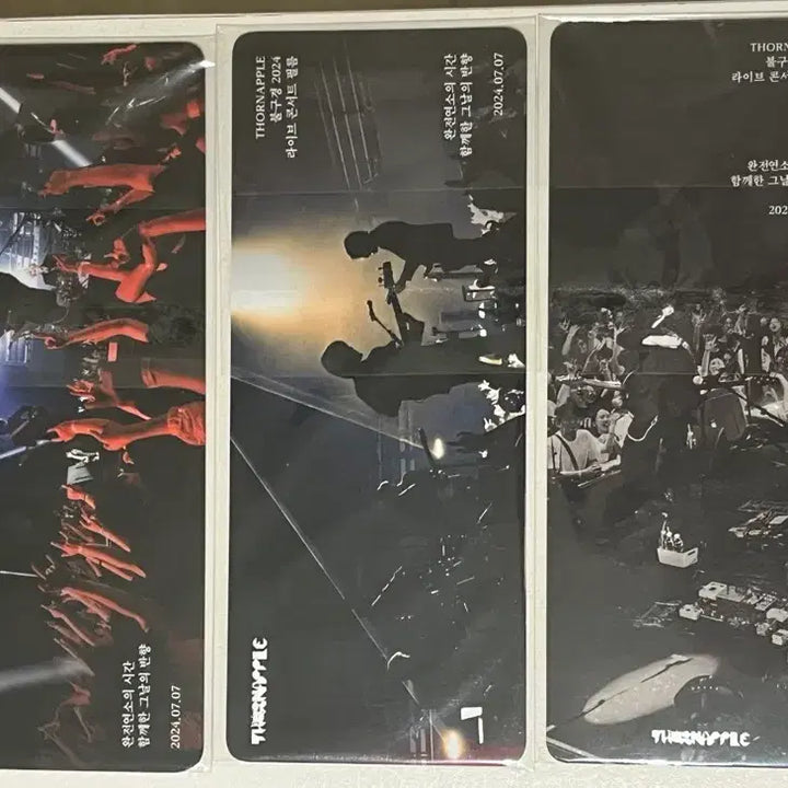 [BUNJANG] Thornapple 2024 Live Film Lucky Draw Photocard Bundle Set / 쏜애플 불구경2024 라이브필름 특전