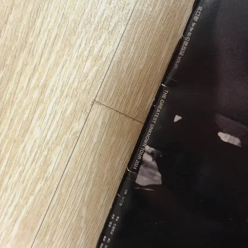 [BUNJANG] King Gnu Sg_sgnos Tour Magazine / 킹누 이구치 스스키노 탐방기 굿즈 잡지