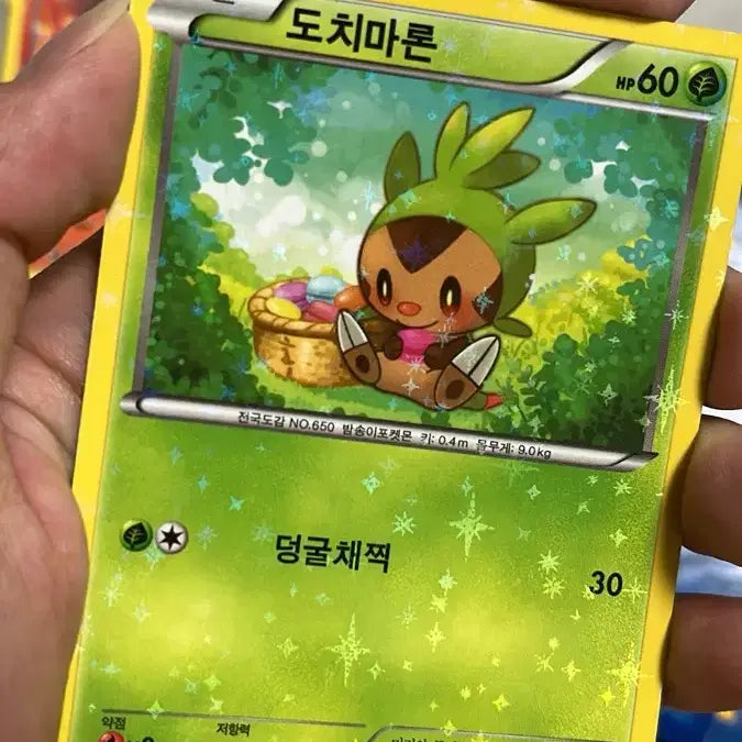 [BUNJANG] Pokemon Card Bundle Set / 포켓몬카드 일괄