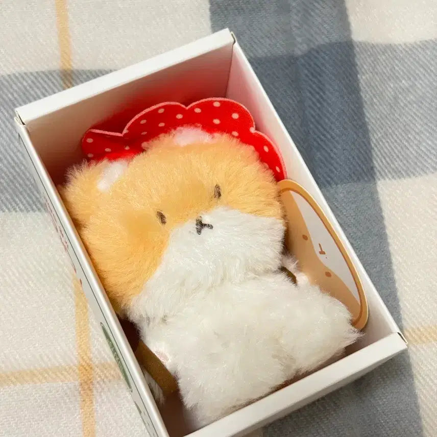 [BUNJANG] Sealed 10cm Plush Doll / 터래기 10cm 팝니다