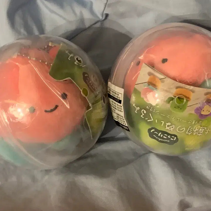 [BUNJANG] Nikorino Plant Plush Keychain / 니코리노 식물 봉제 인형 랜덤 가챠 키링